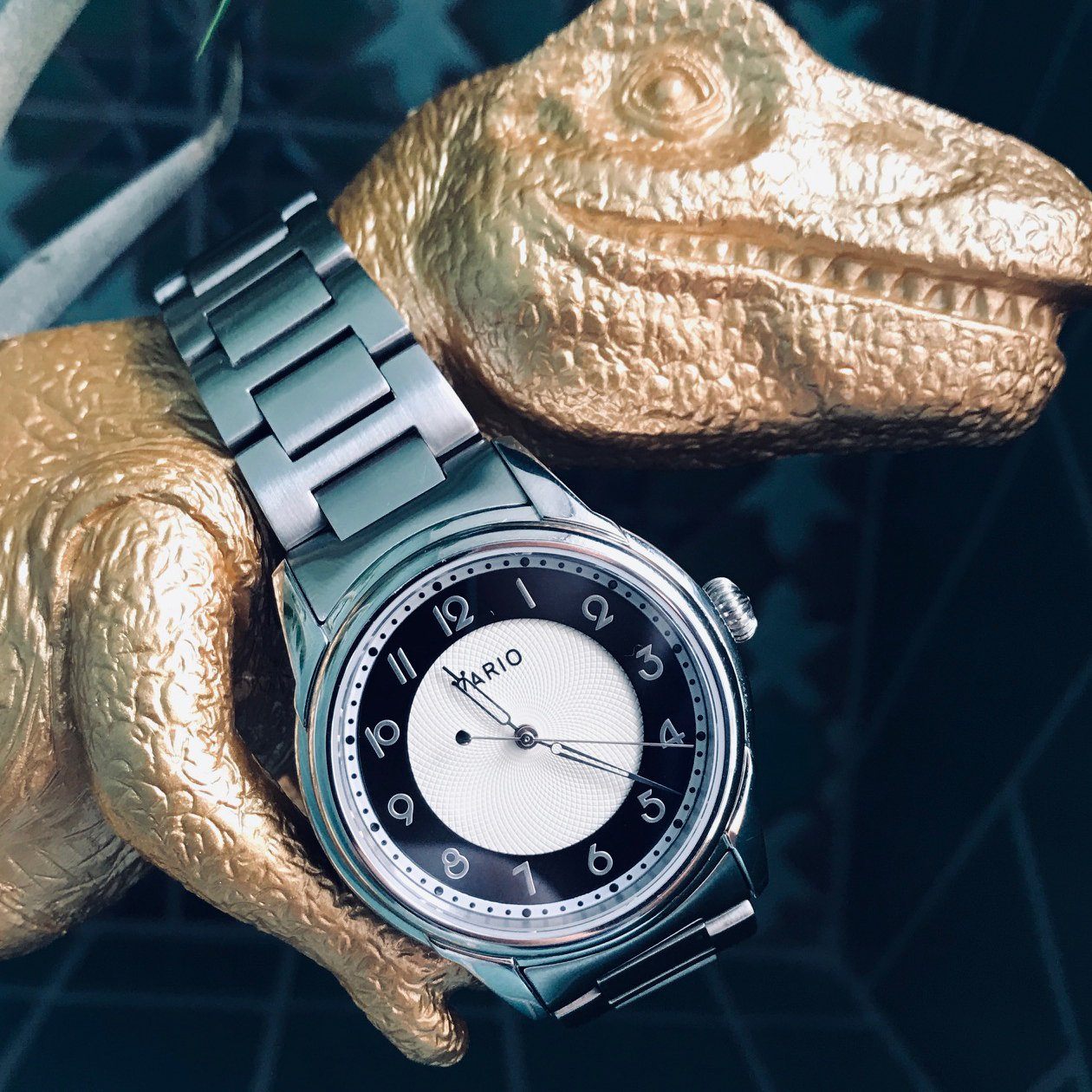 Vario Empire on Metal Bracelet