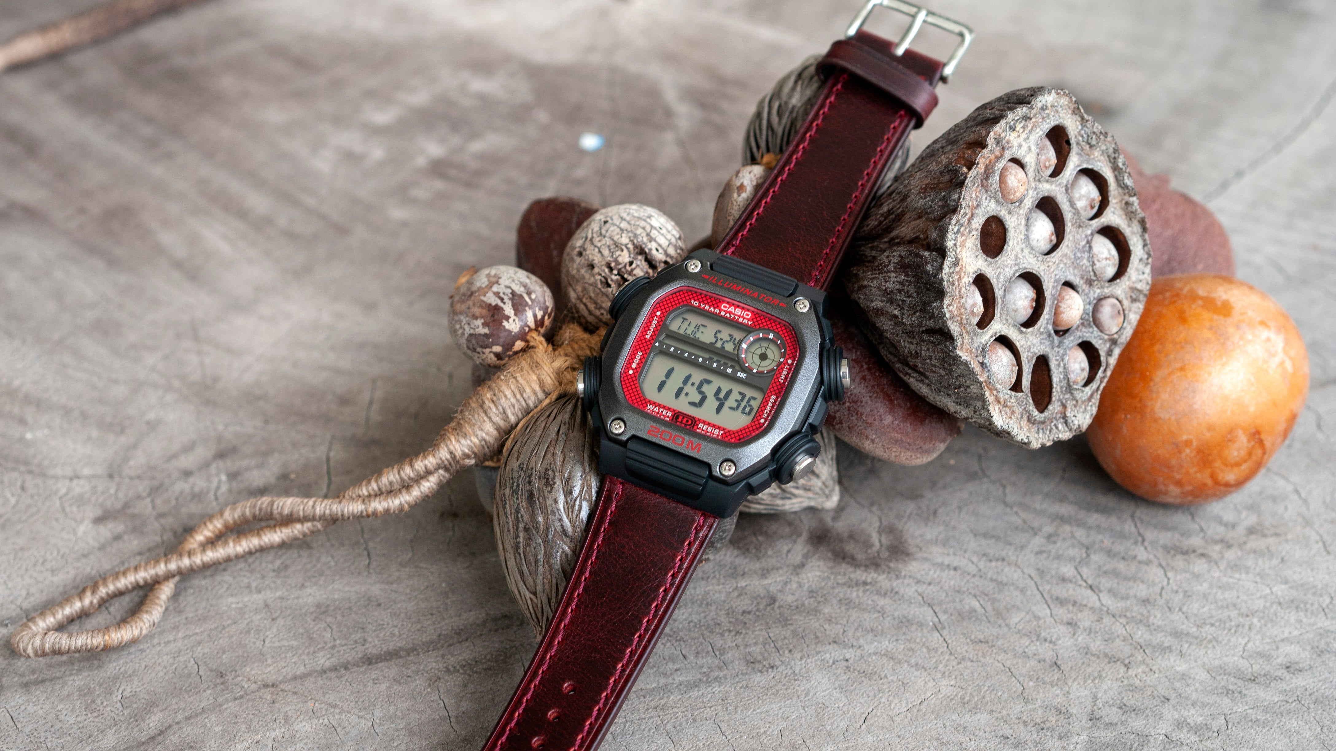 dw291h with vario leather strap