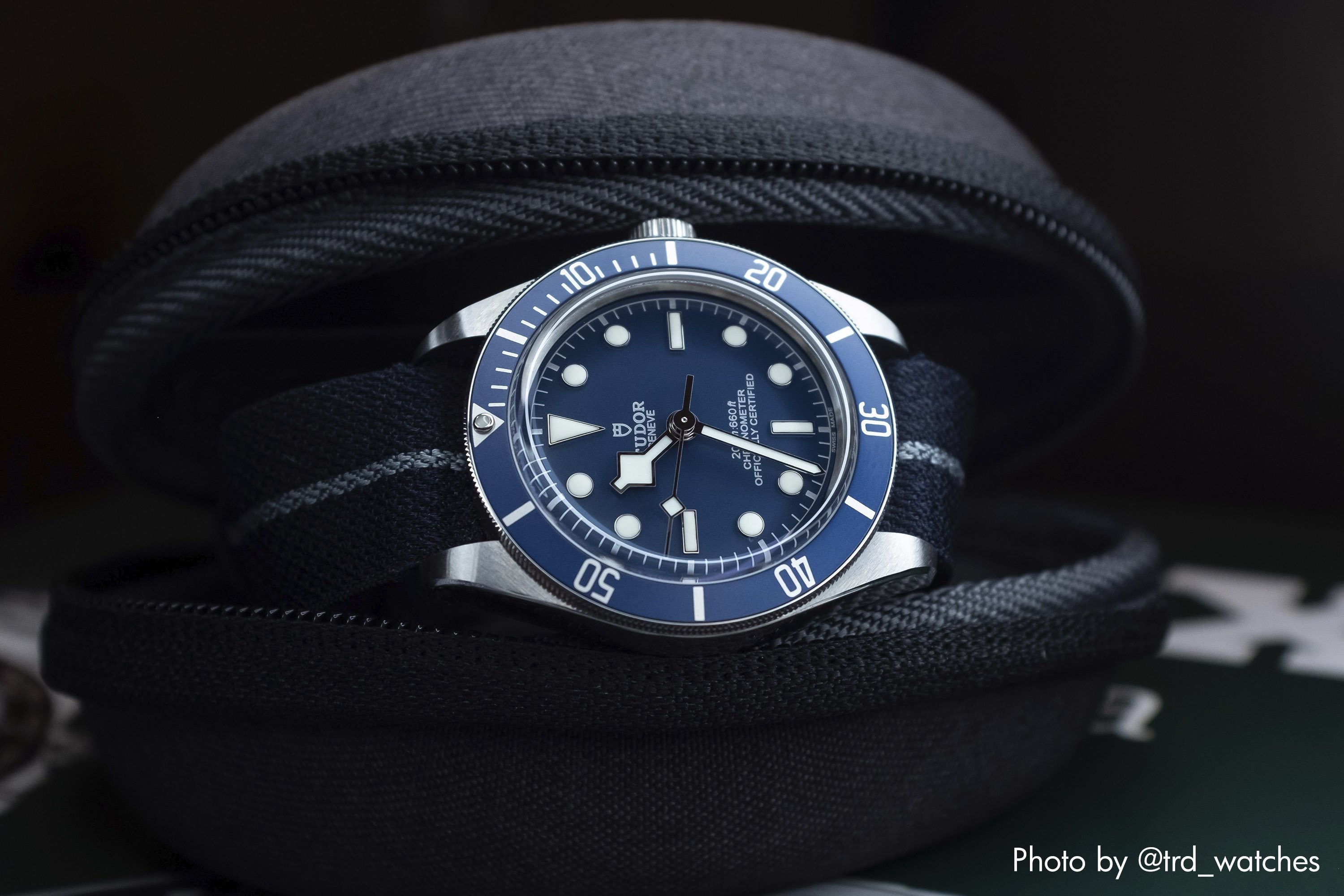 vario travel watch case