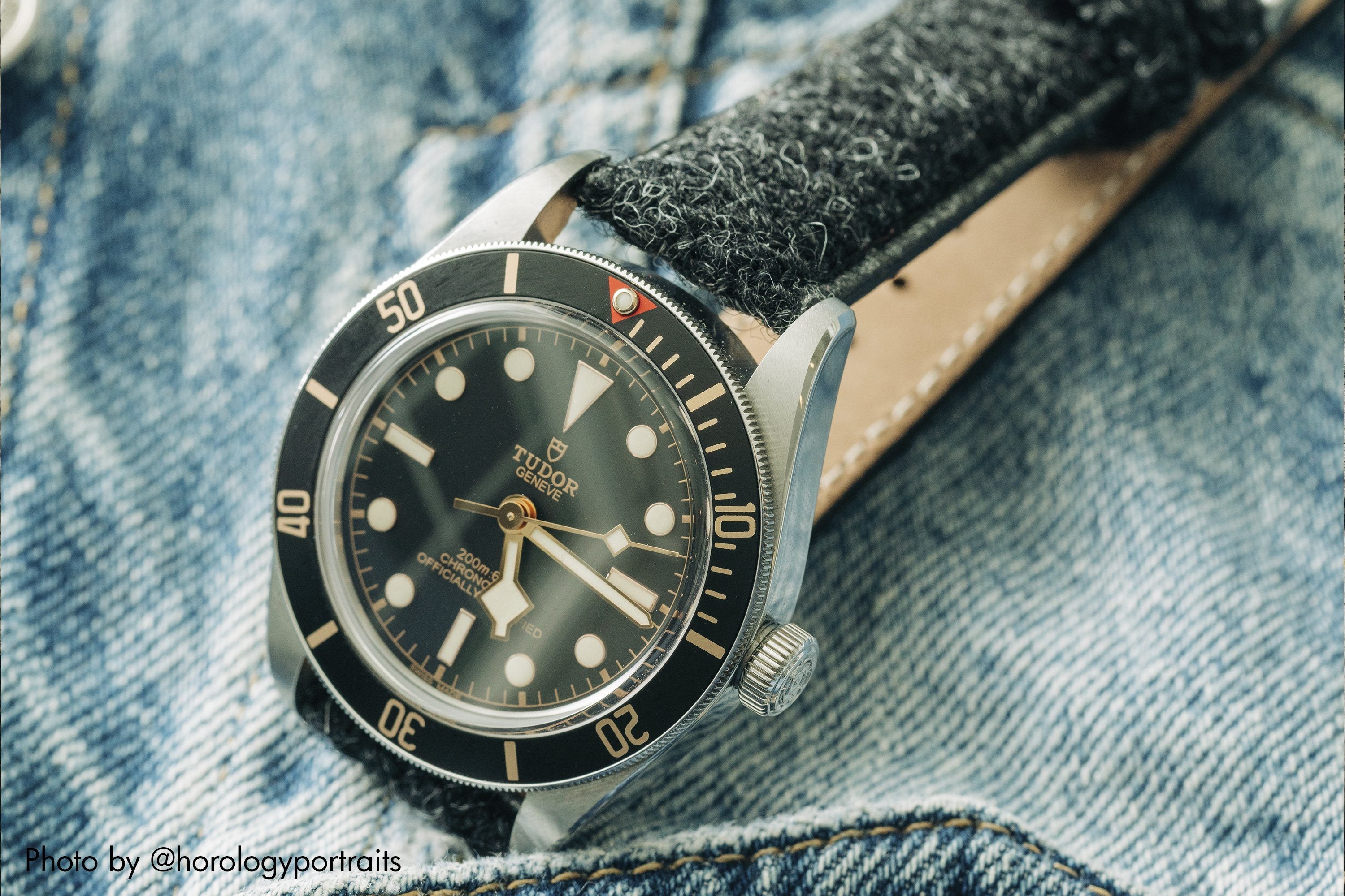 vario harris tweed watch band