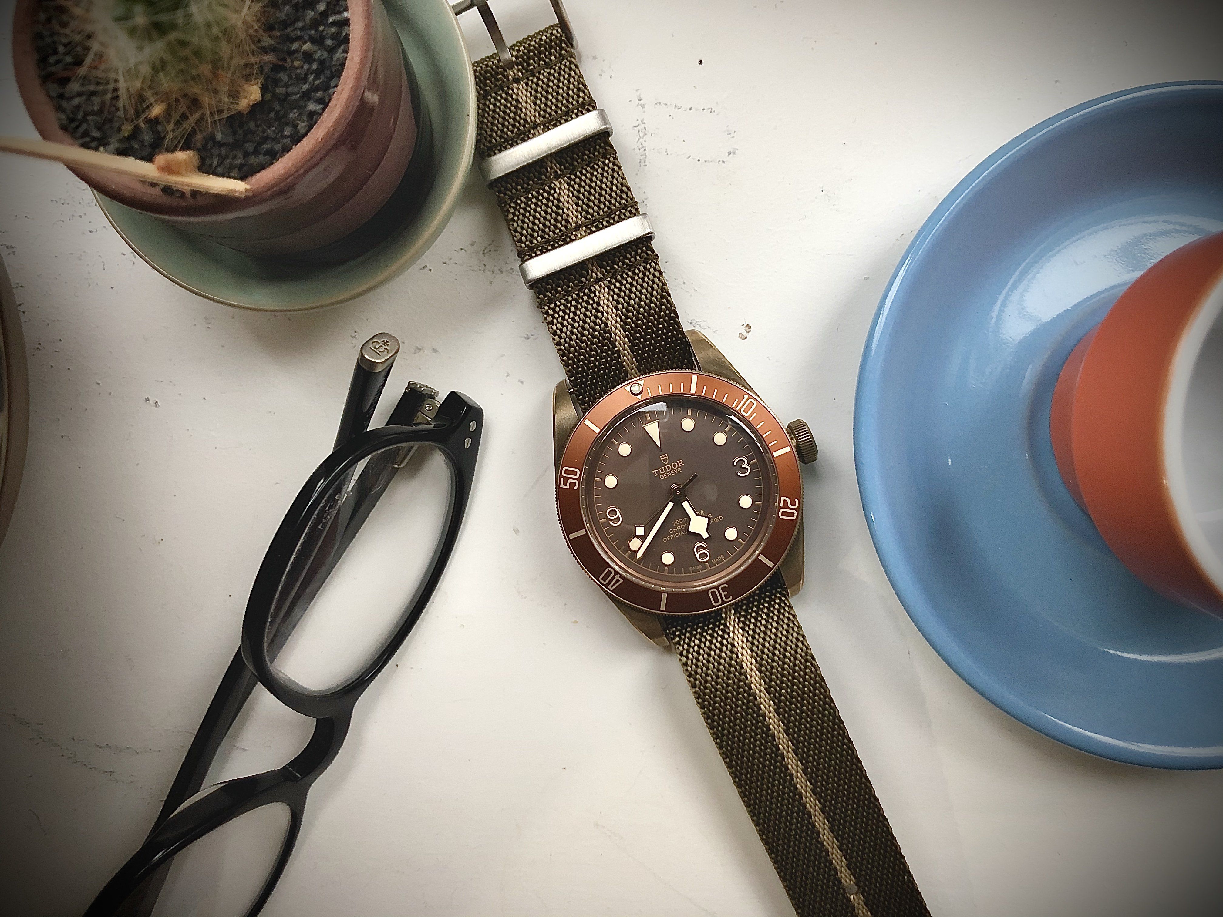 Why bronze and why now? The Tudor Black Bay Bronze | VARIO